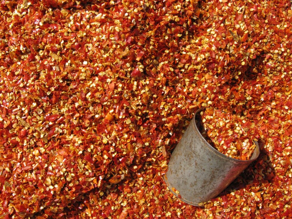 A pile of dried red chilli peppers